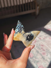 Load image into Gallery viewer, Palm root butterfly
