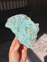 Load image into Gallery viewer, Rare larimar and petrified wood slab
