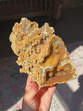 Load image into Gallery viewer, XL Crystallized/fossilized coral pair
