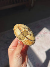 Load image into Gallery viewer, Vintage elephant tusk box
