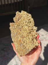 Load image into Gallery viewer, XL Crystallized/fossilized coral pair
