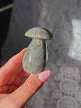 Load image into Gallery viewer, Labradorite mushroom
