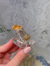 Load image into Gallery viewer, Elmwood calcite from Tennessee
