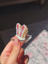 Load image into Gallery viewer, Swazi rose agate butterfly pair
