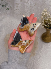 Load image into Gallery viewer, Palm root butterfly (you pick)
