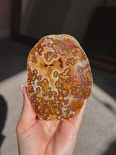 Load image into Gallery viewer, Agate pair from Turkey
