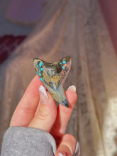 Load image into Gallery viewer, Rare Benedini tooth with turquoise/pyrite inlay
