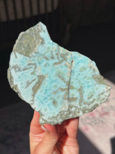 Load image into Gallery viewer, Rare larimar and petrified wood slab
