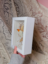 Load image into Gallery viewer, Butterfly in box display (handmade)
