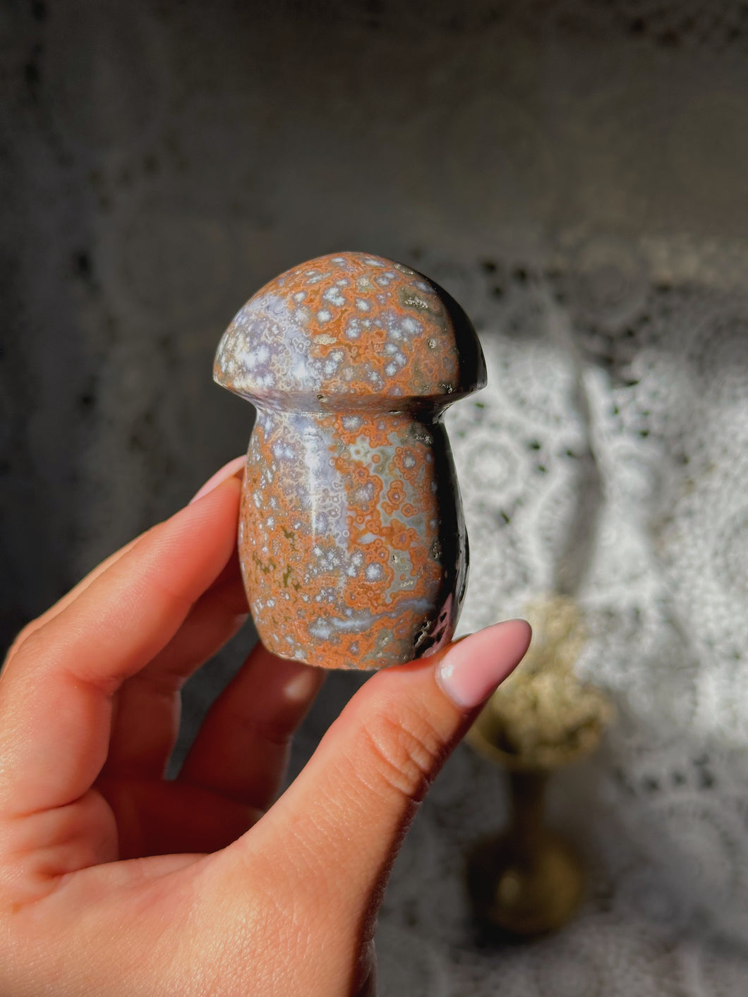 Ocean/sea jasper mushroom