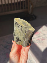 Load image into Gallery viewer, Perminalized wood with chalcopyrite (sheds easily)
