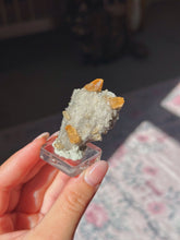 Load image into Gallery viewer, Elmwood calcite from Tennessee
