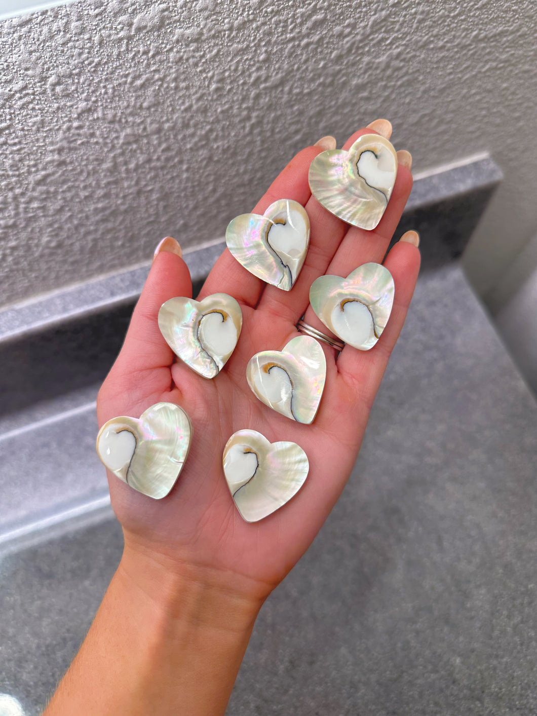 Nautilus shell hearts