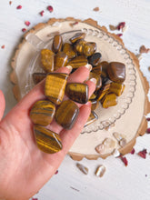 Load image into Gallery viewer, Tigers eye tumbles (set of 2)
